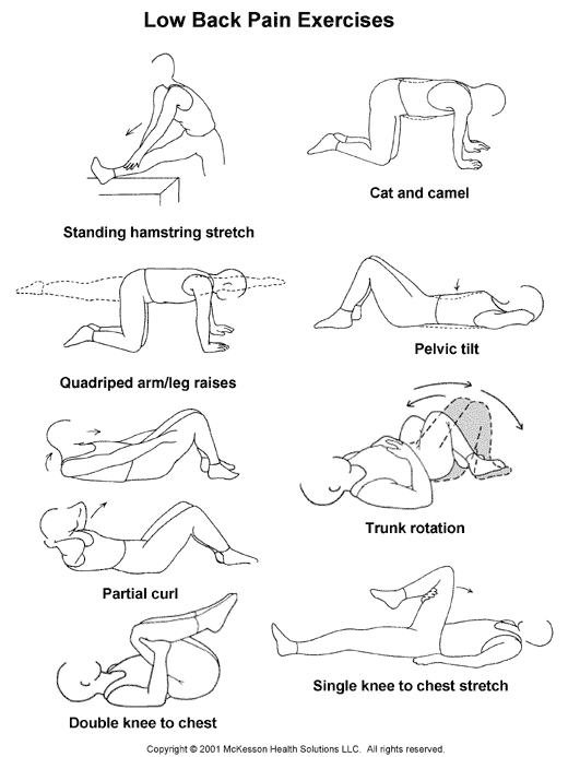 Physical therapy exercises for lower back pain Vector Image